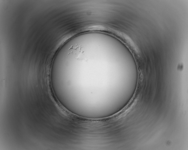 X0000102831225200808181041