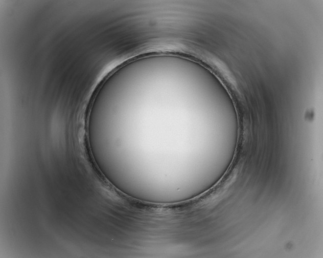 X0000102831226200808181041
