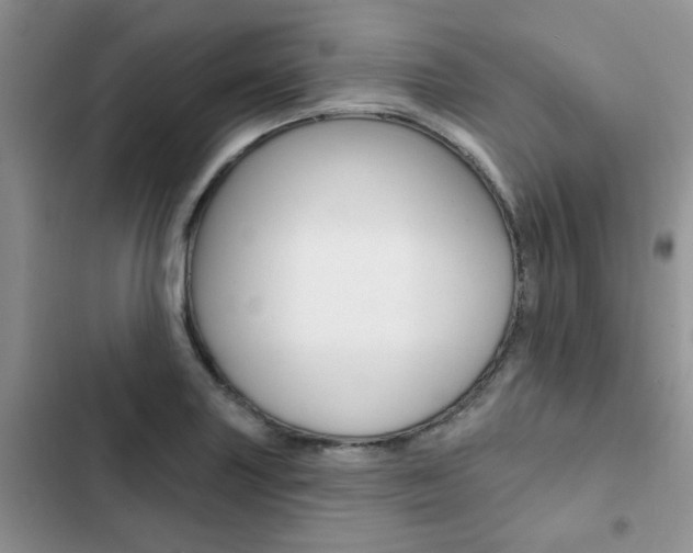X0000102831227200808181041