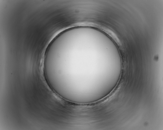 X0000102831228200808181041