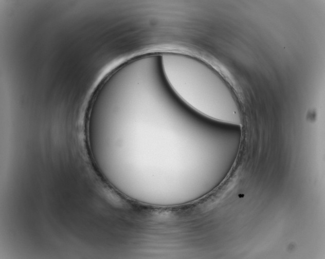 X0000102831230200808181041