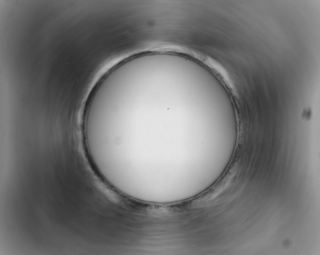 X0000102831231200808181041