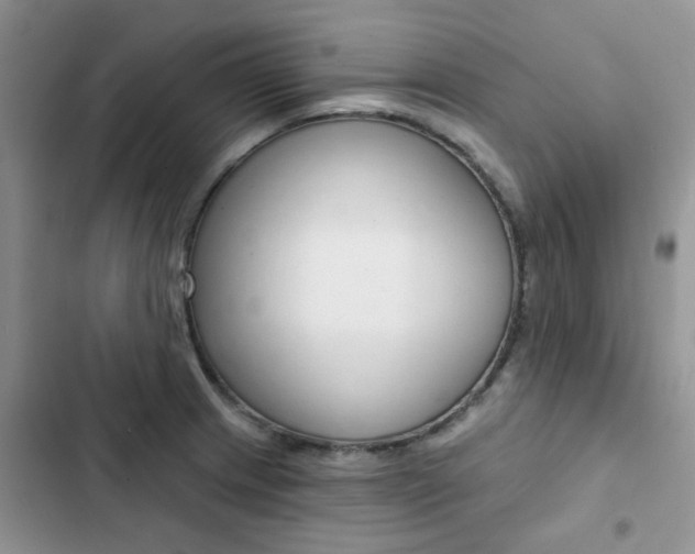 X0000102831233200808181041