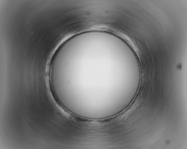 X0000102831235200808181041