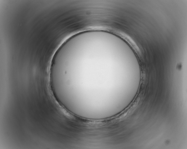 X0000102831236200808181041