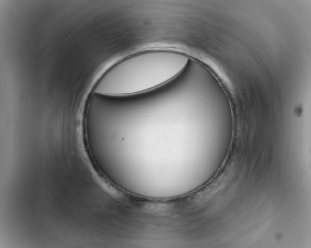 X0000102831237200808181041