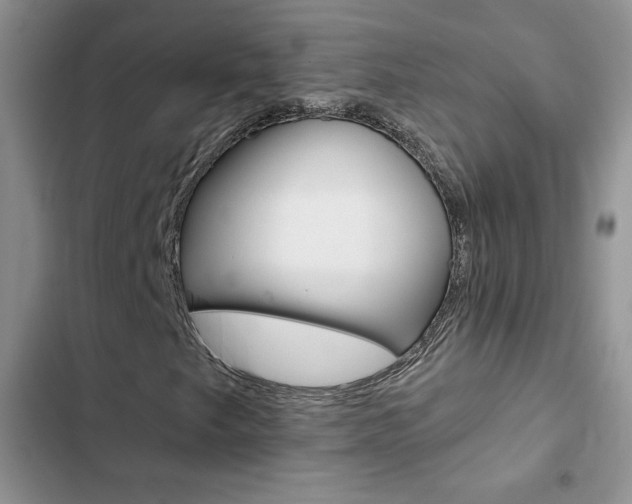 X0000102831249200808181041