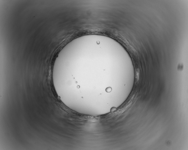 X0000102831251200808181041
