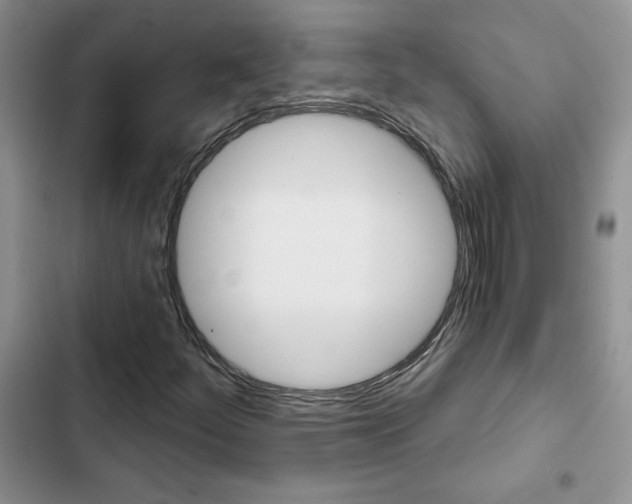 X0000102831252200808181041