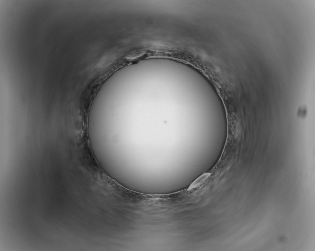 X0000102831253200808181041
