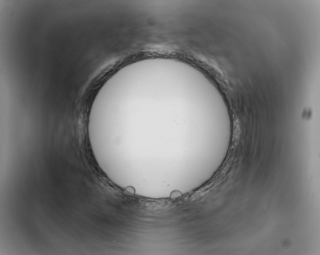 X0000102831254200808181041