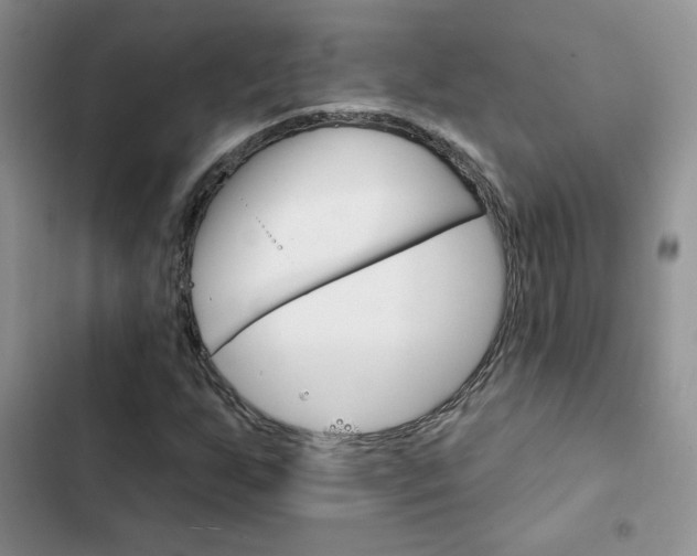 X0000102831255200808181041
