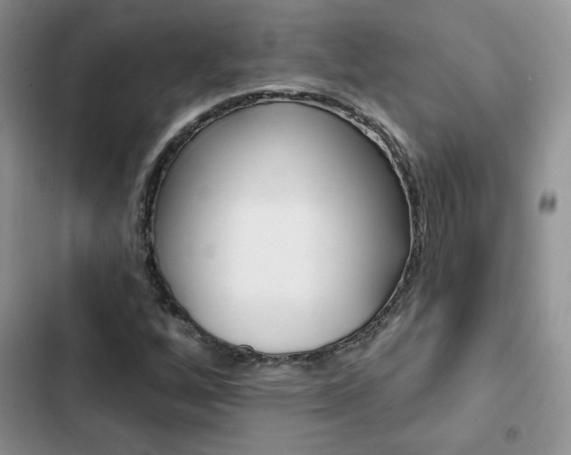 X0000102831256200808181041