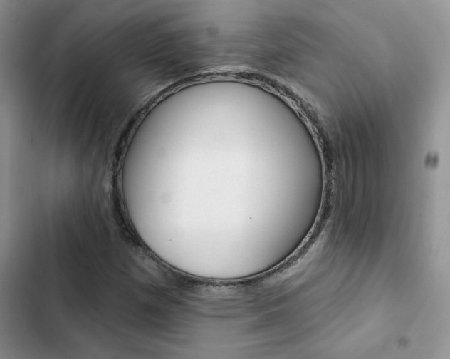 X0000102831257200808181041