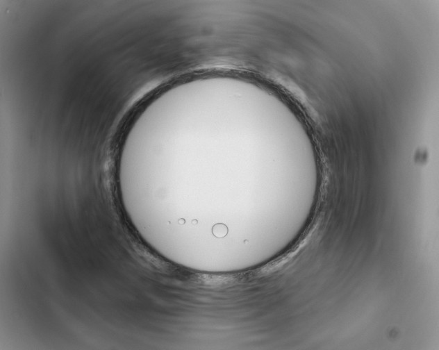 X0000102831258200808181041