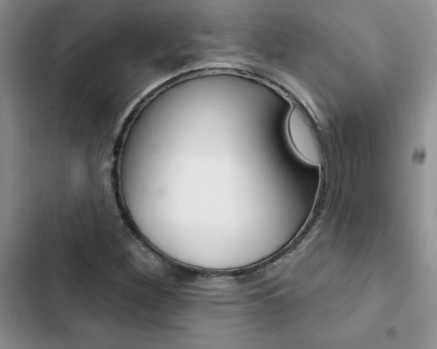 X0000102831260200808181041