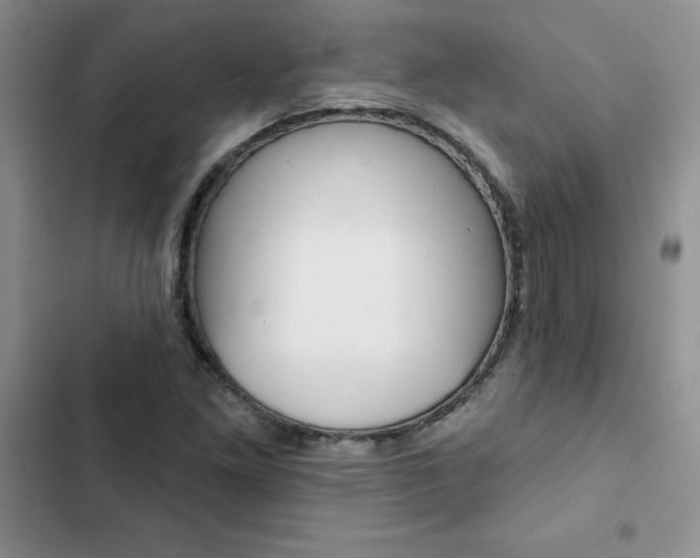 X0000102831261200808181041
