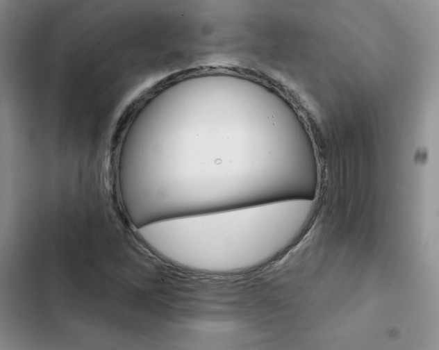 X0000102831262200808181041