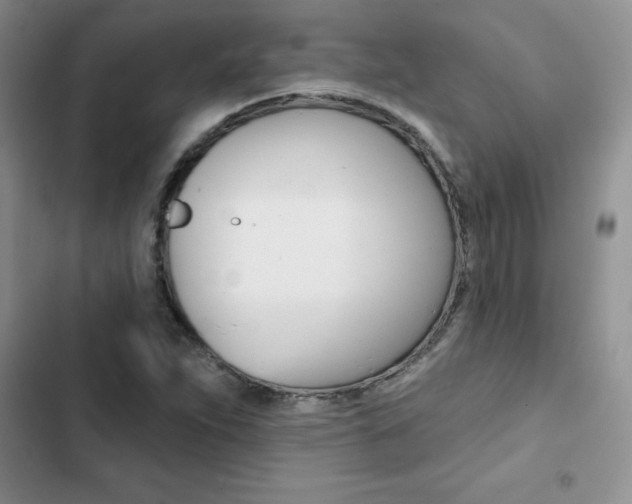X0000102831263200808181041