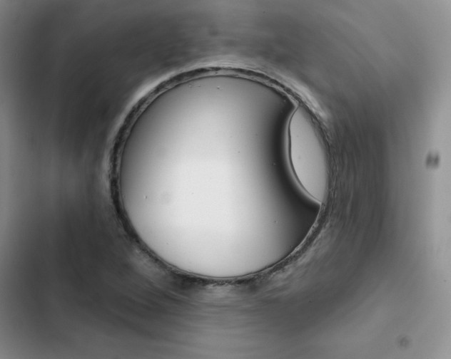 X0000102831264200808181041