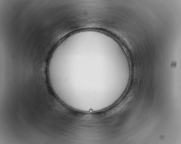 X0000102831265200808181041