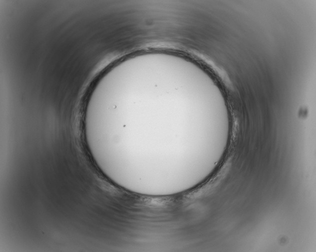 X0000102831266200808181041