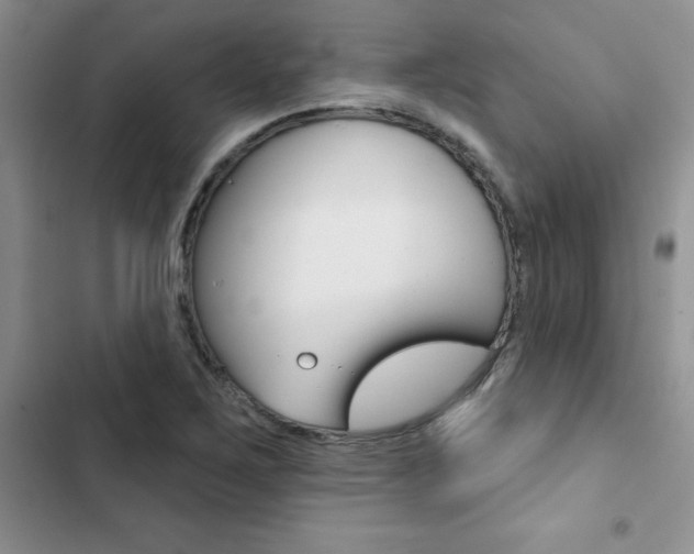 X0000102831267200808181041