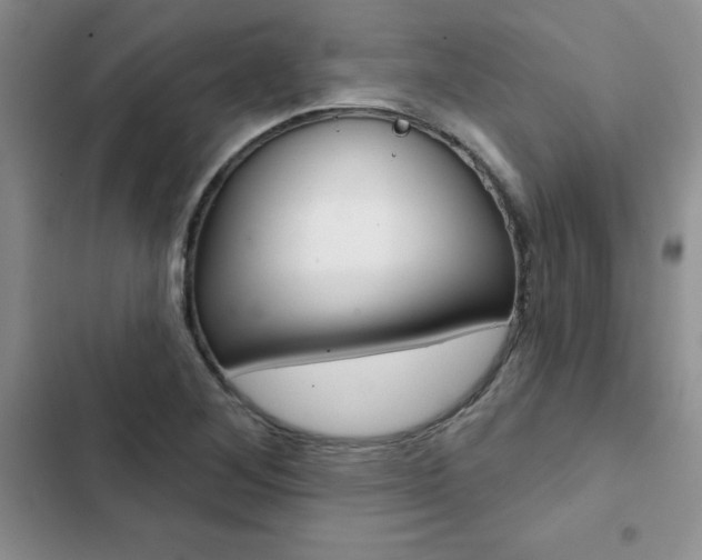 X0000102831268200808181041