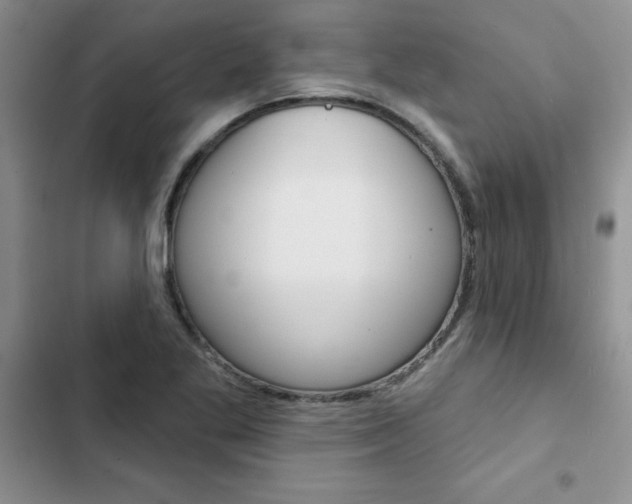 X0000102831269200808181041