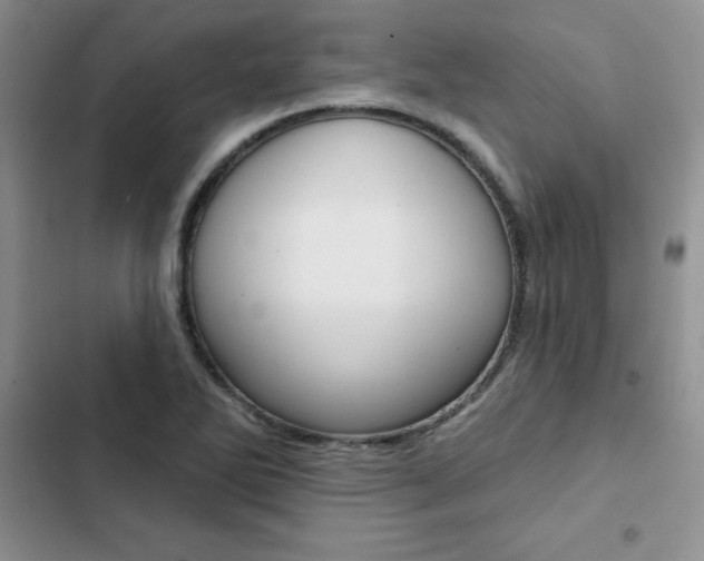 X0000102831270200808181041