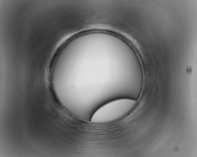 X0000102831271200808181040