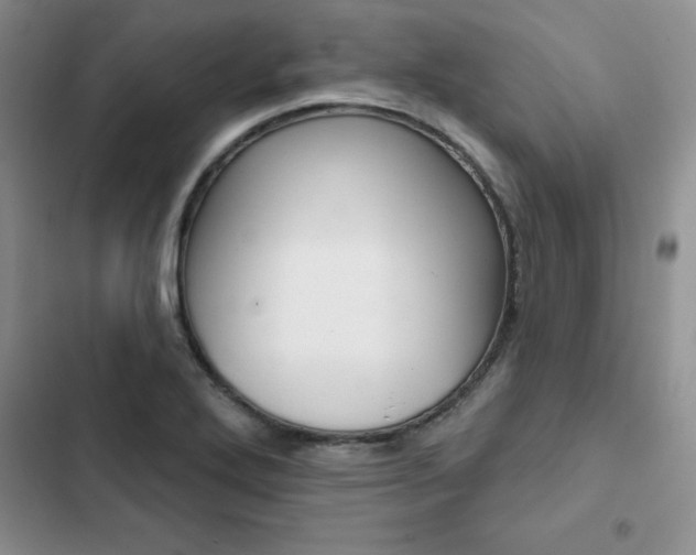 X0000102831272200808181040