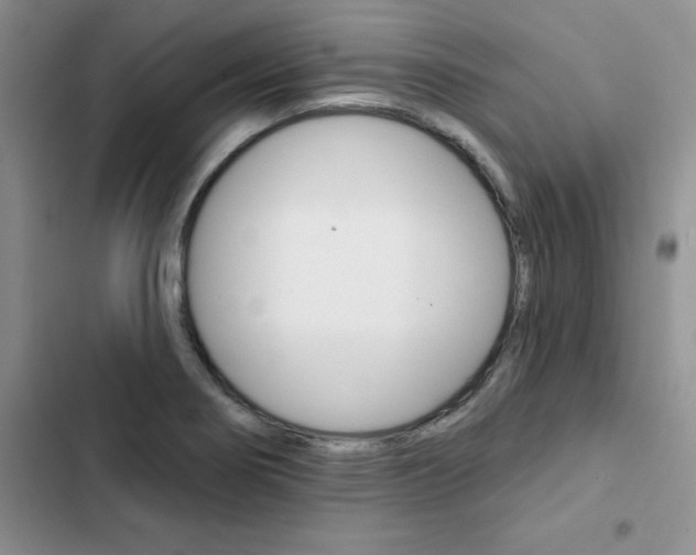 X0000102831274200808181040