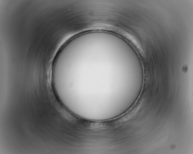 X0000102831275200808181040
