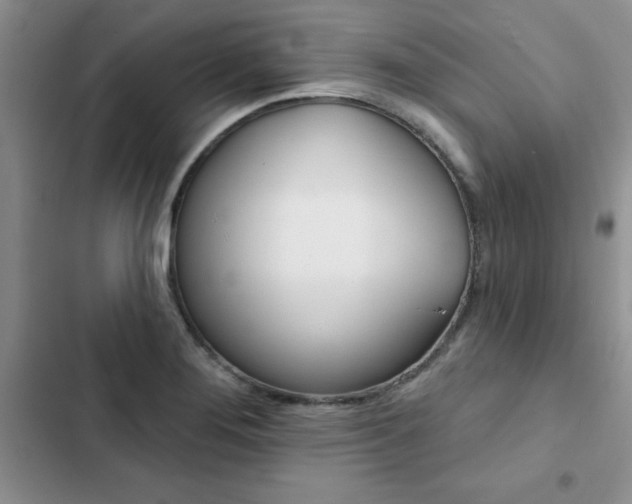 X0000102831276200808181040