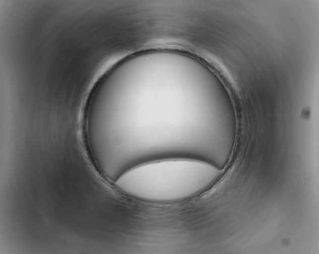 X0000102831277200808181040