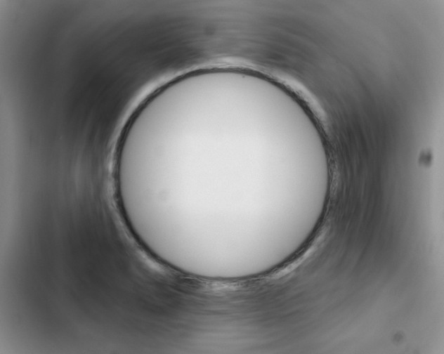 X0000102831278200808181040
