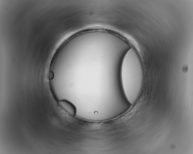 X0000102831279200808181040