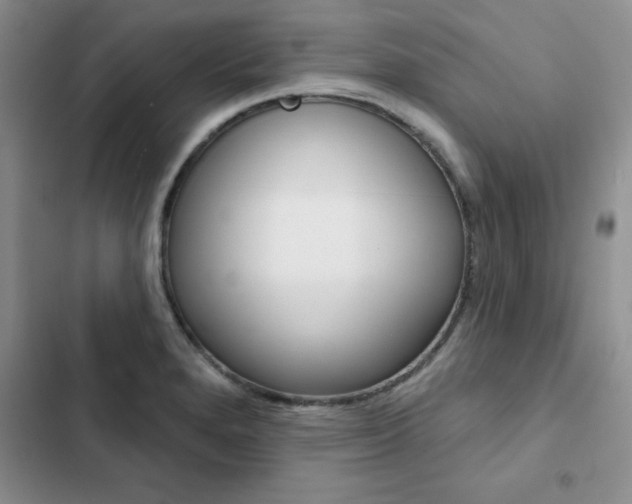 X0000102831280200808181040