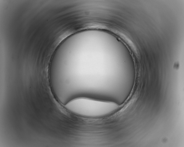 X0000102831281200808181040