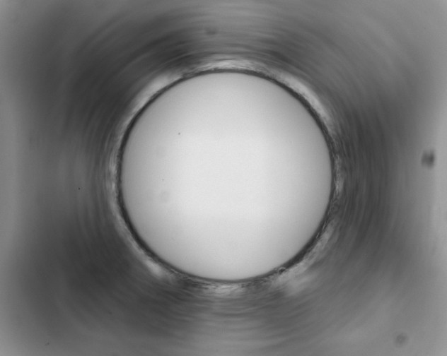 X0000102831282200808181040