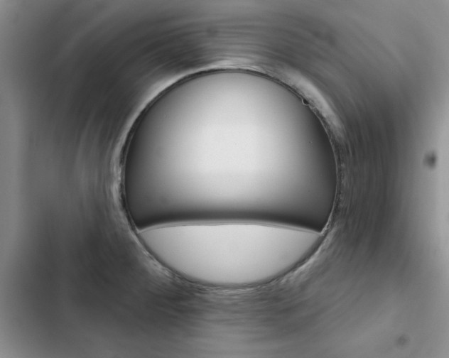 X0000102831284200808181040