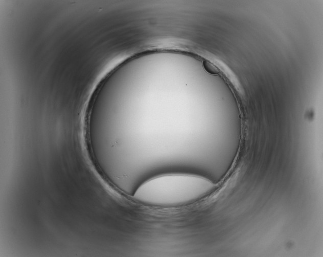 X0000102831285200808181040