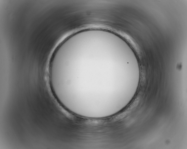 X0000102831286200808181040