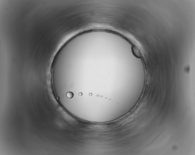 X0000102831287200808181040