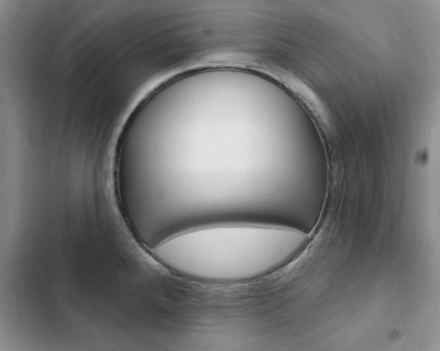 X0000102831288200808181040