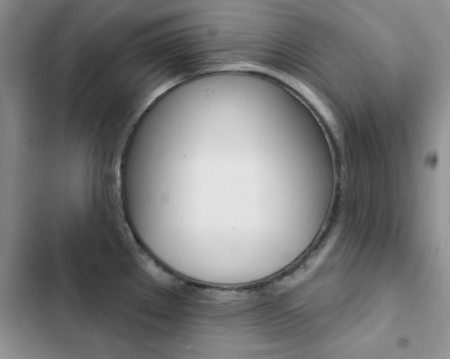 X0000102831289200808181040