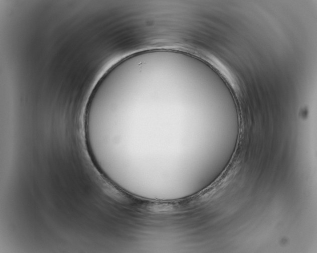 X0000102831291200808181040