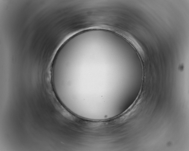 X0000102831292200808181040