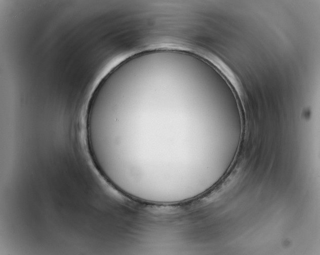 X0000102831293200808181040